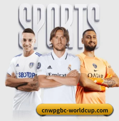 FIFA世界杯 APP 界面